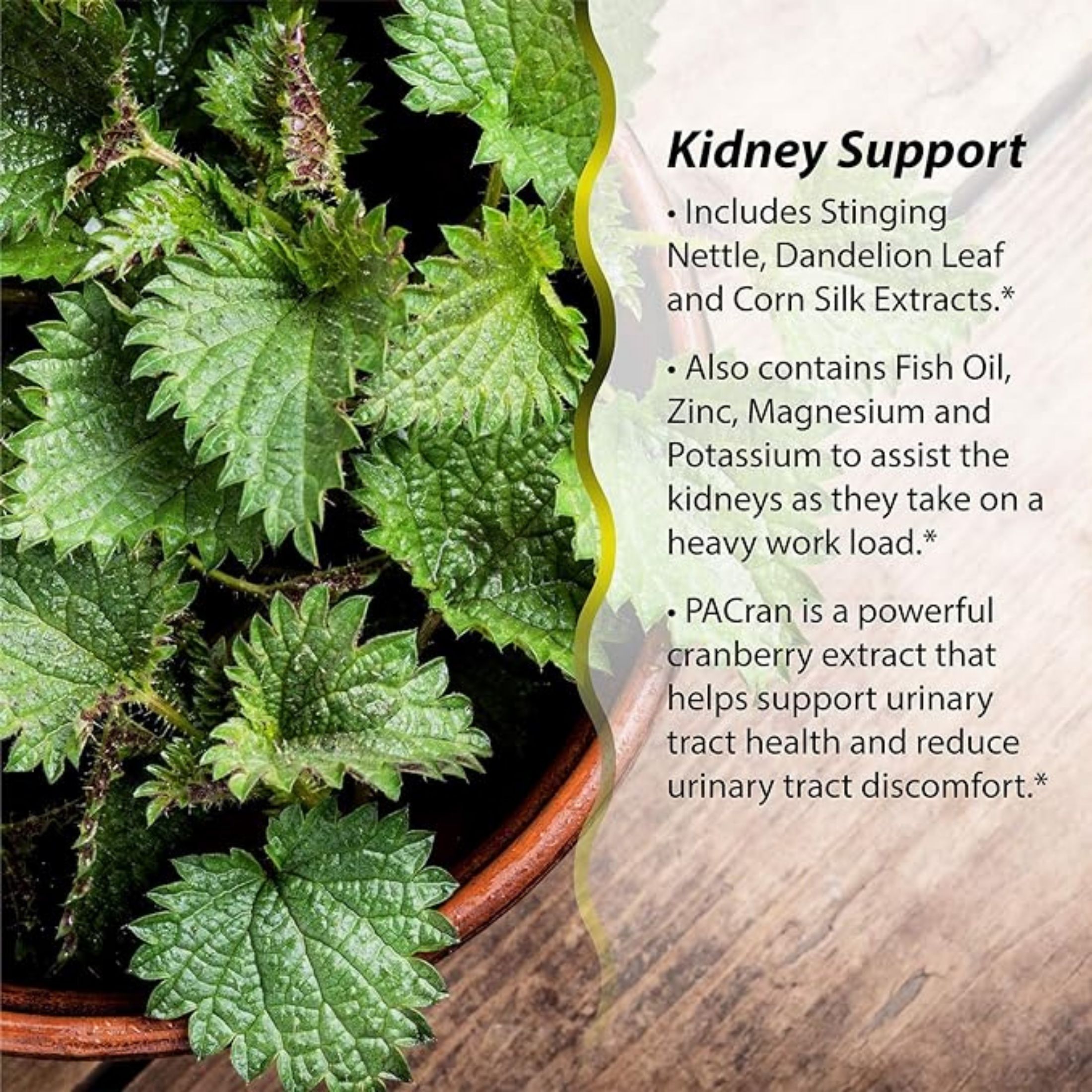 Irwin Naturals 2 In 1 Kidney & Liver Super Cleanse, 60 Liquid Soft-Gels