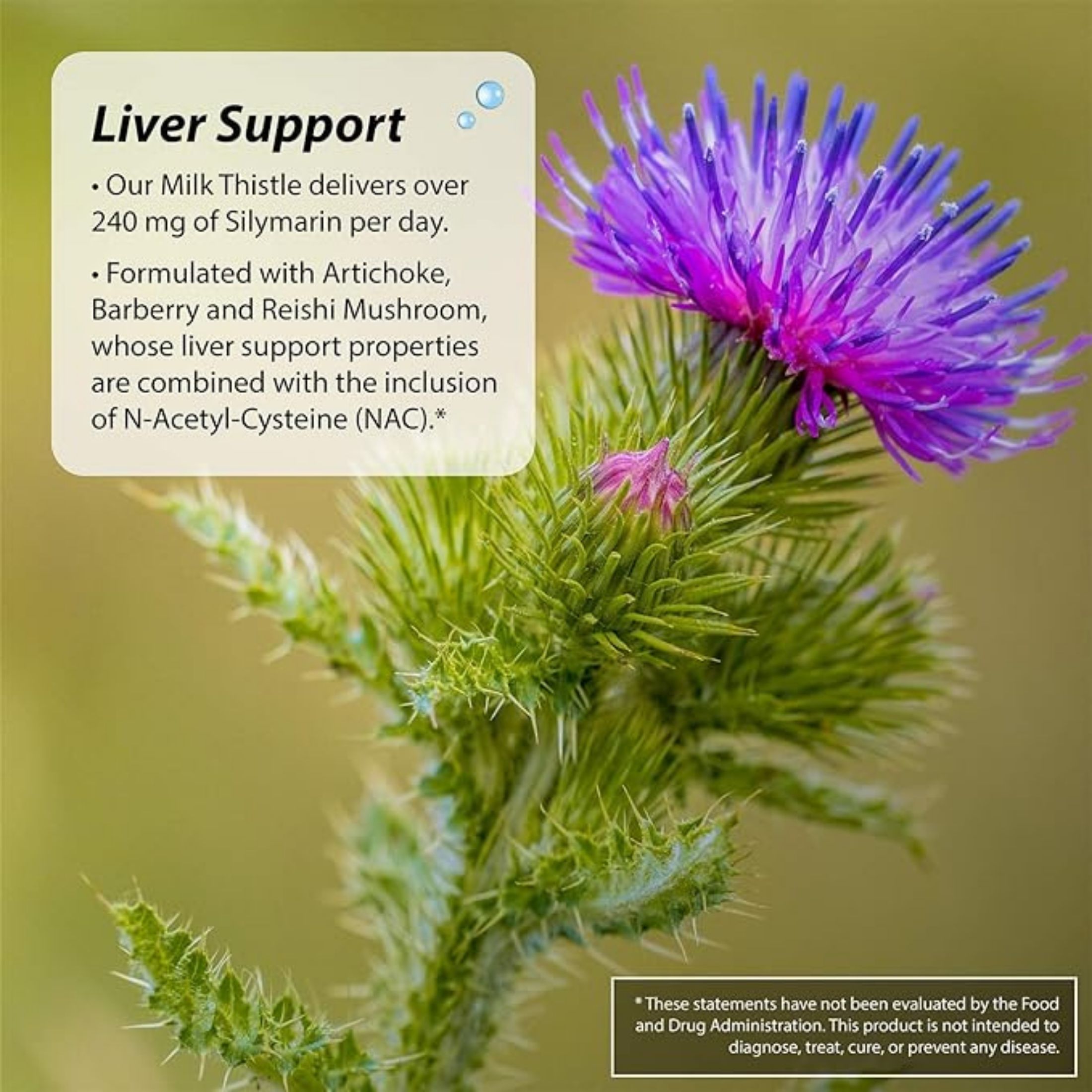 Irwin Naturals 2 In 1 Kidney & Liver Super Cleanse, 60 Liquid Soft-Gels