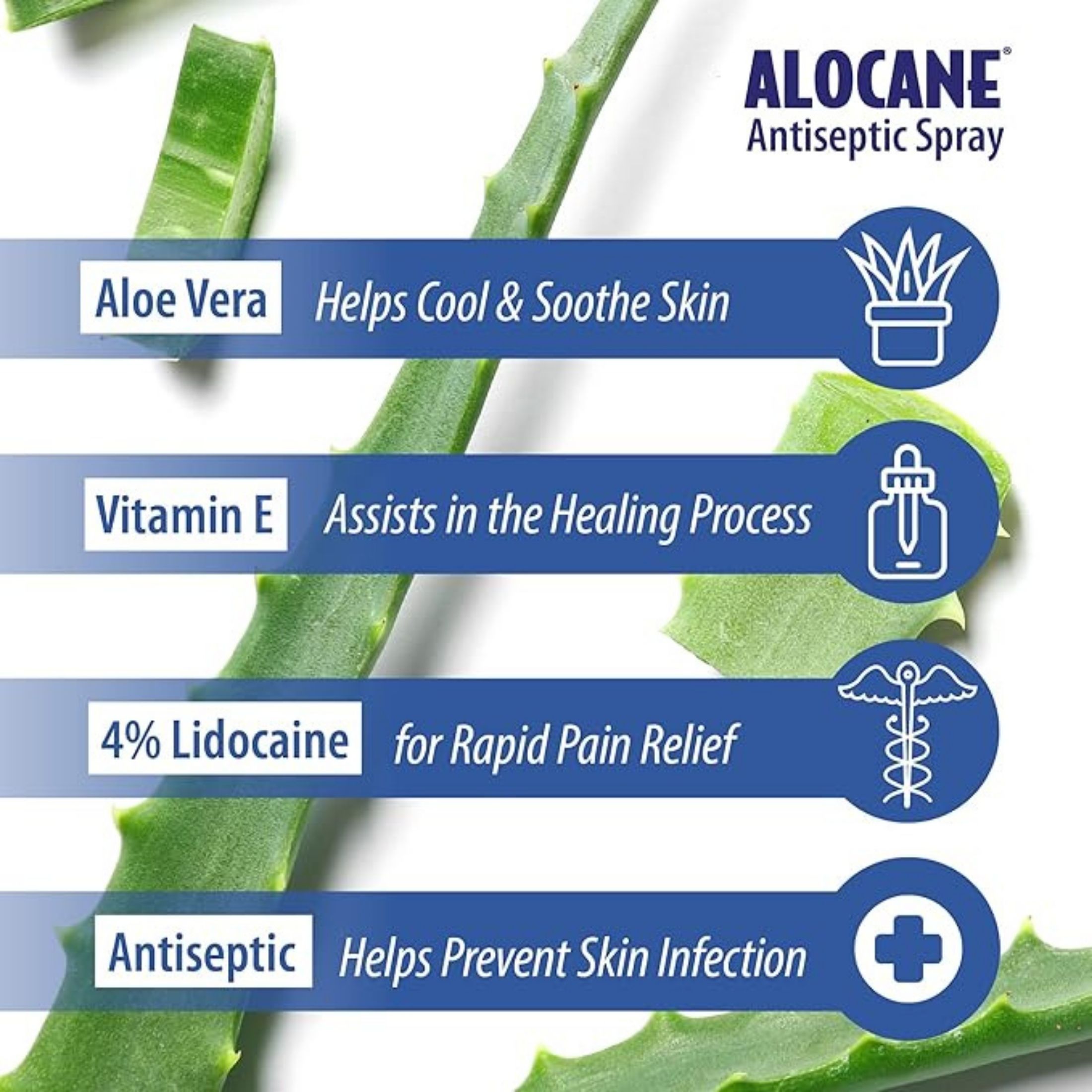 Alocane Maximum Strength First Aid Antiseptic Spray 3.5 Fl Oz