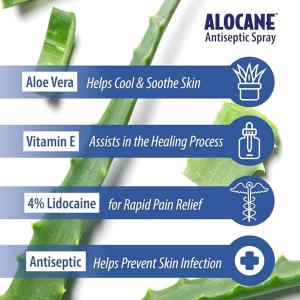 Alocane Maximum Strength First Aid Antiseptic Spray 3.5 Fl Oz