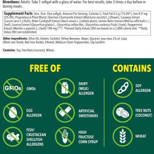 Iberogast Digestive Relief, Dual Action