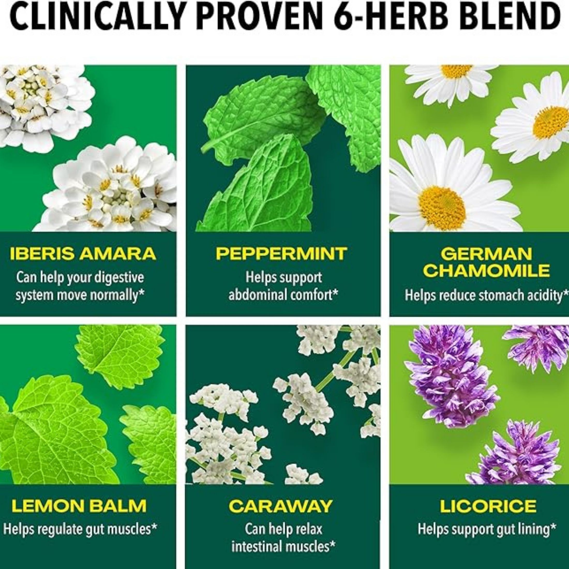 Iberogast Digestive Relief, Dual Action