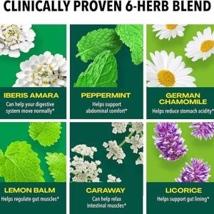Iberogast Digestive Relief, Dual Action