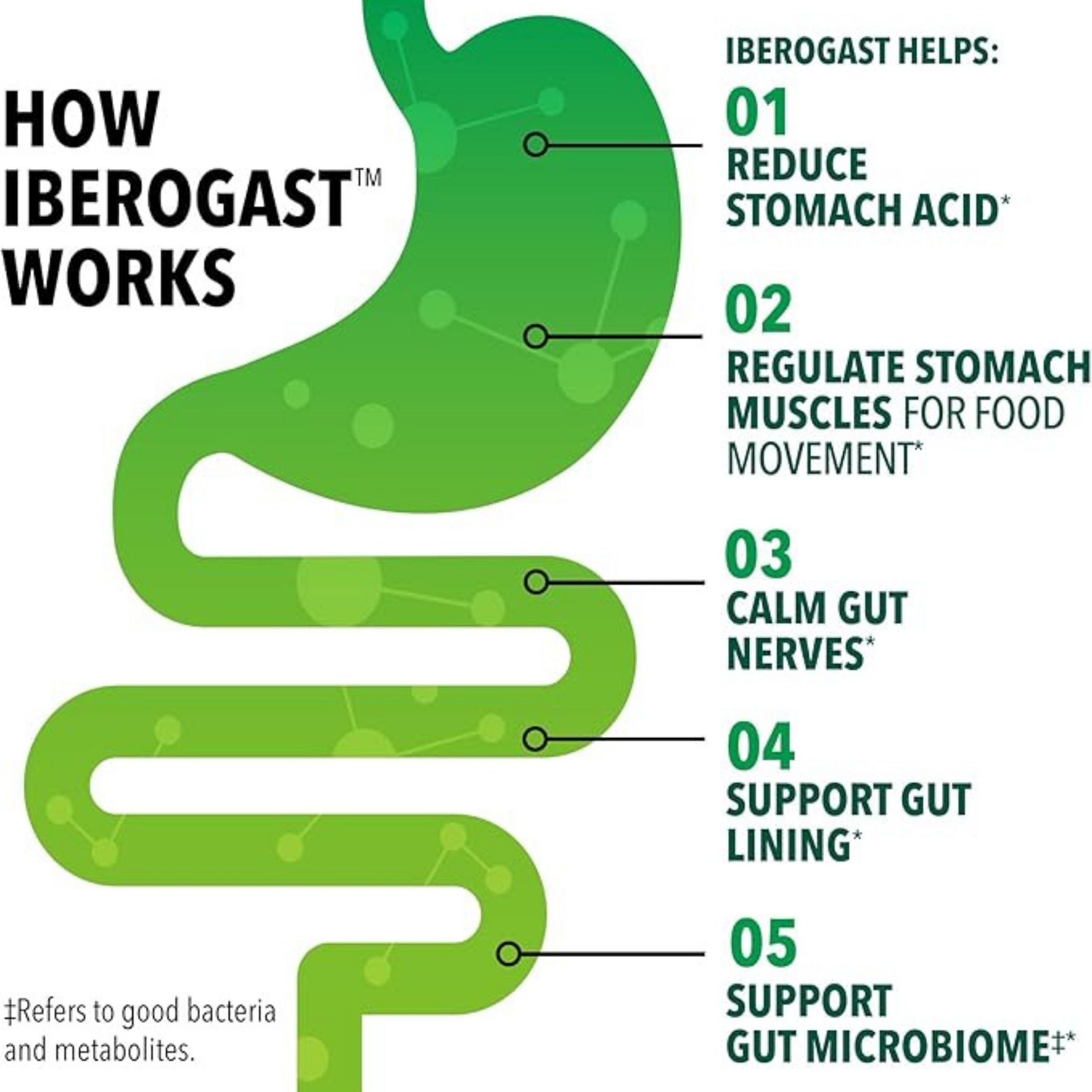 Iberogast Digestive Relief, Dual Action
