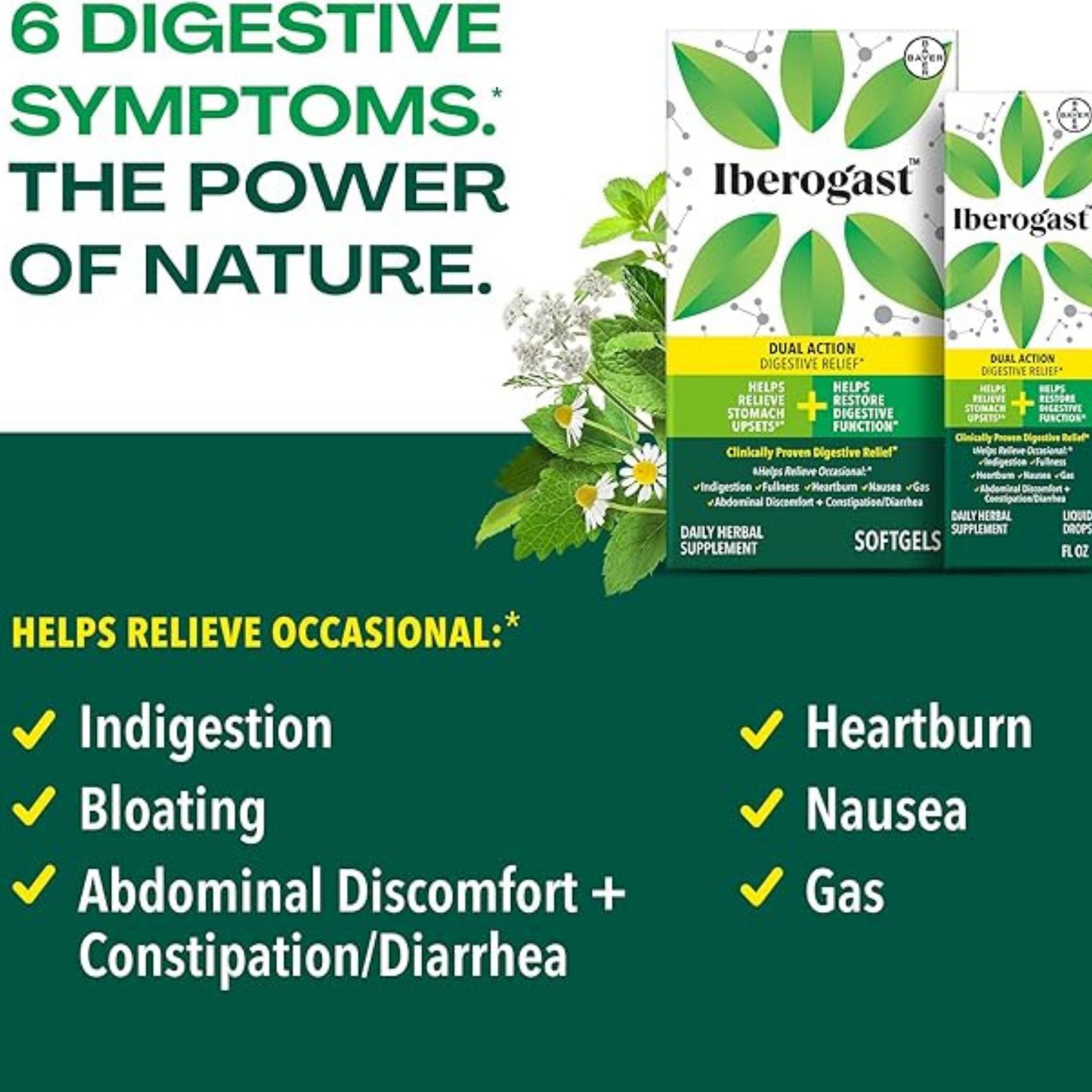 Iberogast Digestive Relief, Dual Action