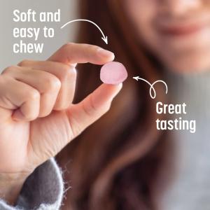 Tums Gummy Bites, Upset Stomach & Nausea Support, Ginger Berry