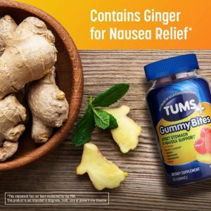 Tums Gummy Bites, Upset Stomach & Nausea Support, Ginger Berry