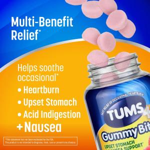 Tums Gummy Bites, Upset Stomach & Nausea Support, Ginger Berry