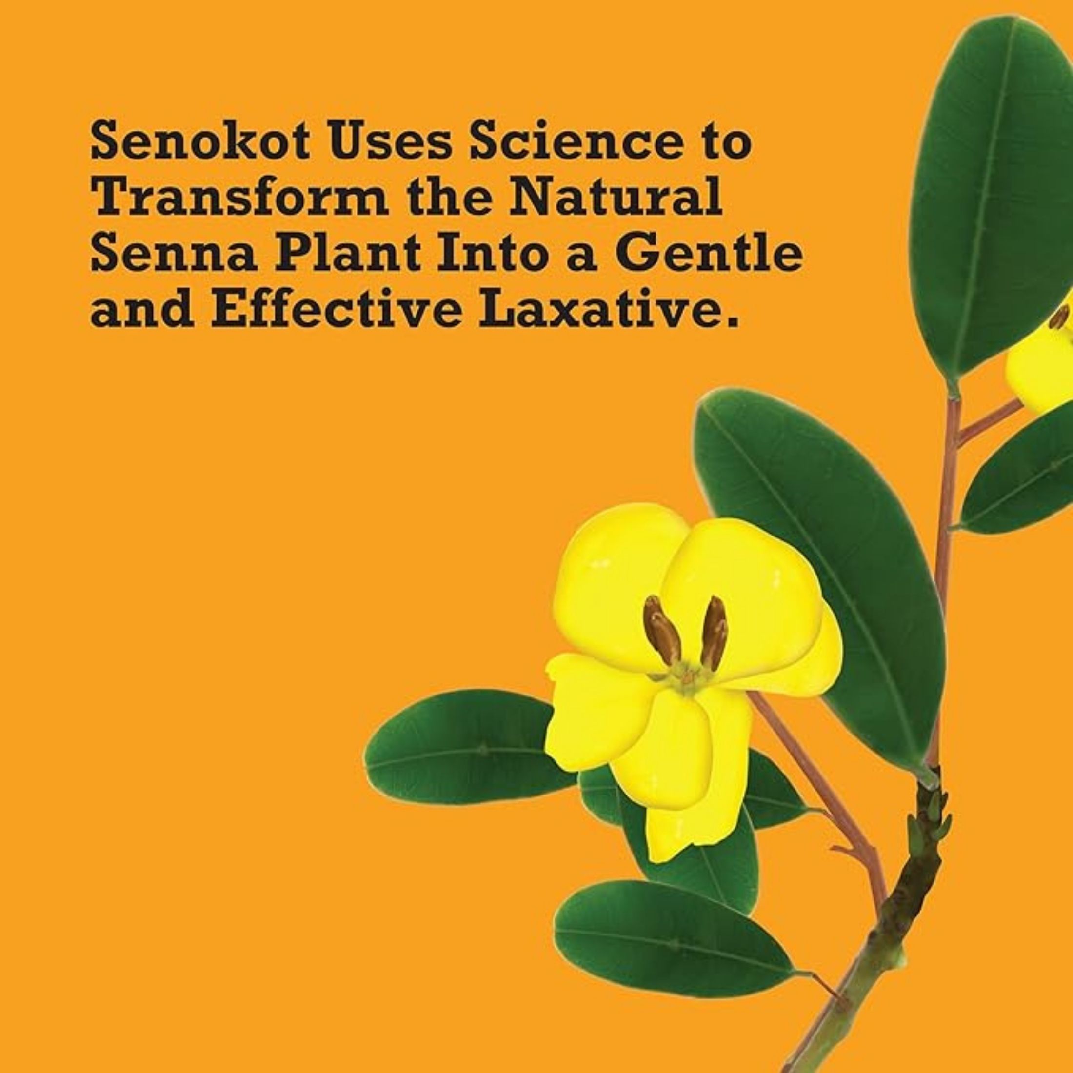 Senokot Extra Strength Natural Vegetable Laxative Tablets