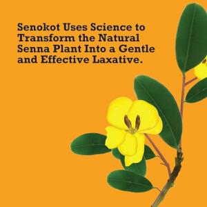 Senokot Extra Strength Natural Vegetable Laxative Tablets