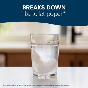 Cottonelle Fresh Care On-the-Go Flushable Wet Wipes