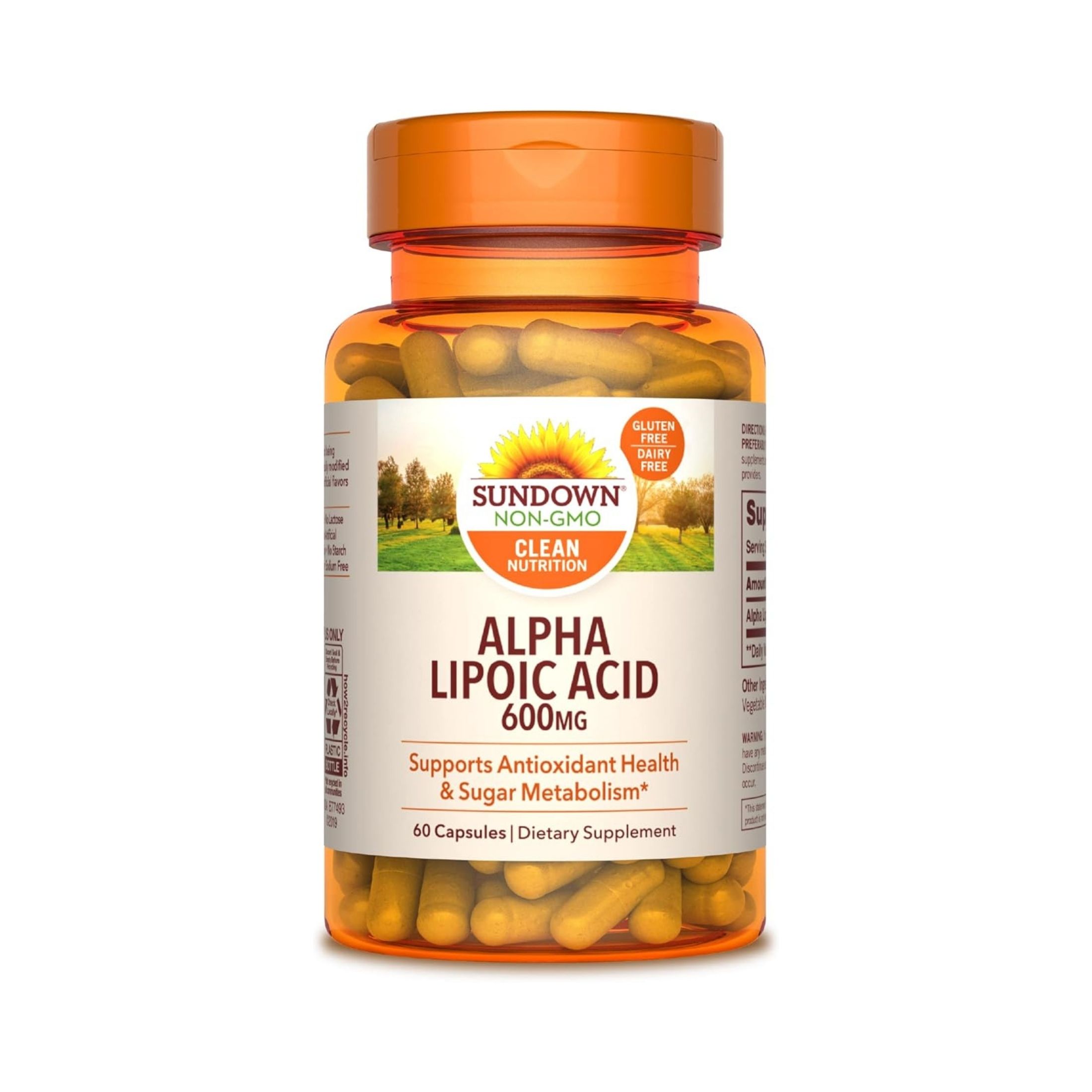 Sundown Naturals Super Alpha Lipoic Acid Capsules, 600 Mg