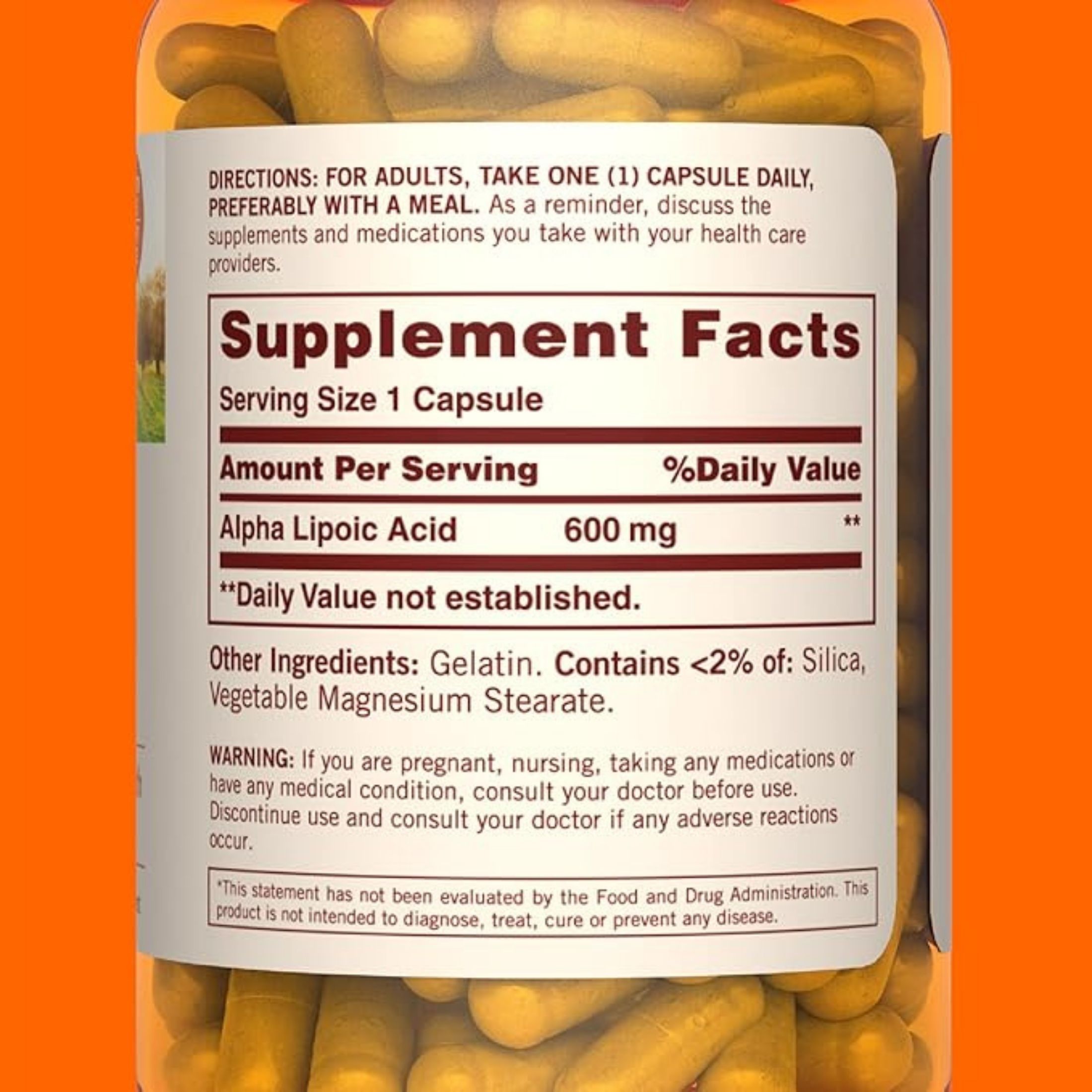 Sundown Naturals Super Alpha Lipoic Acid Capsules, 600 Mg