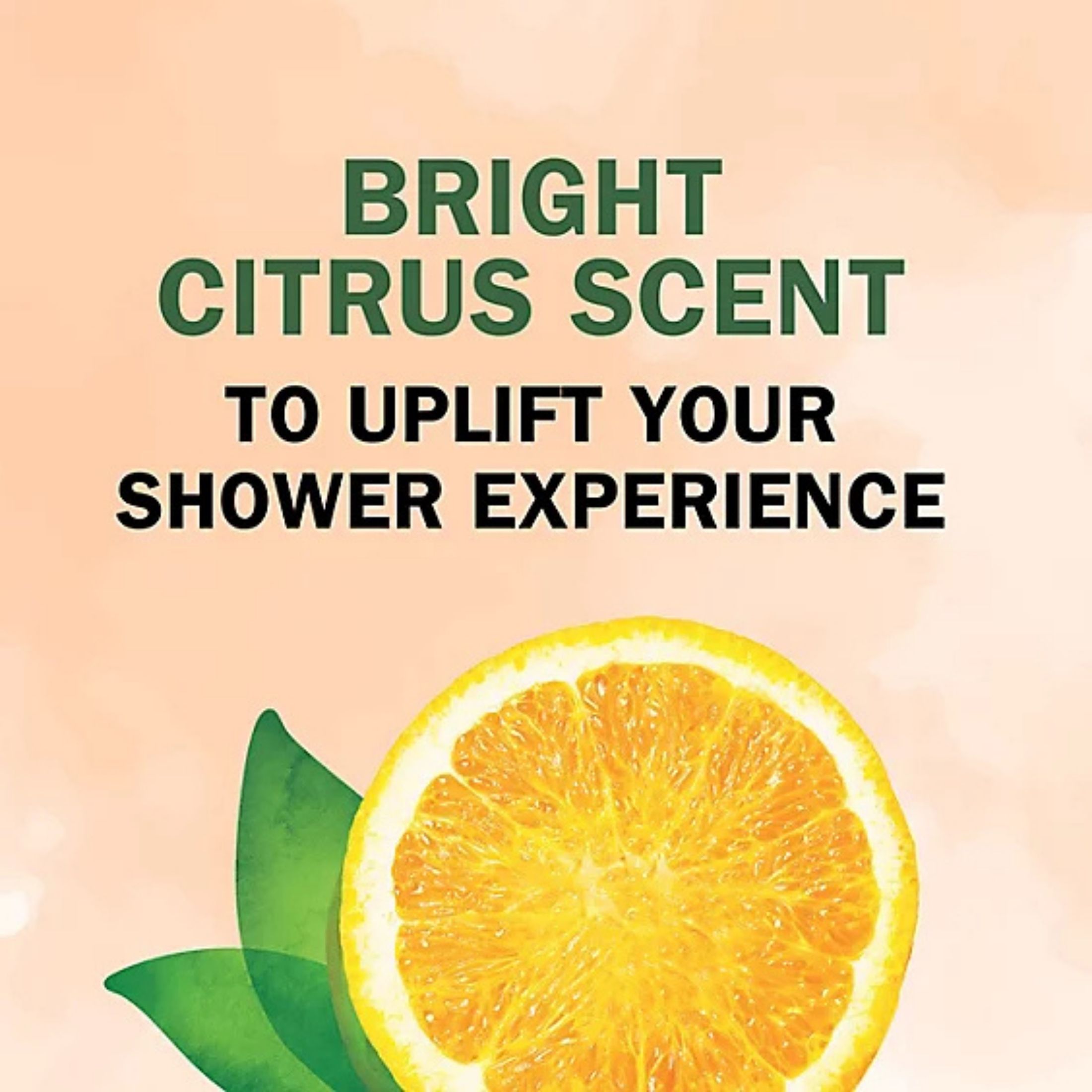 Herbal Essences Body Envy Shampoo 11.7 Fl Oz