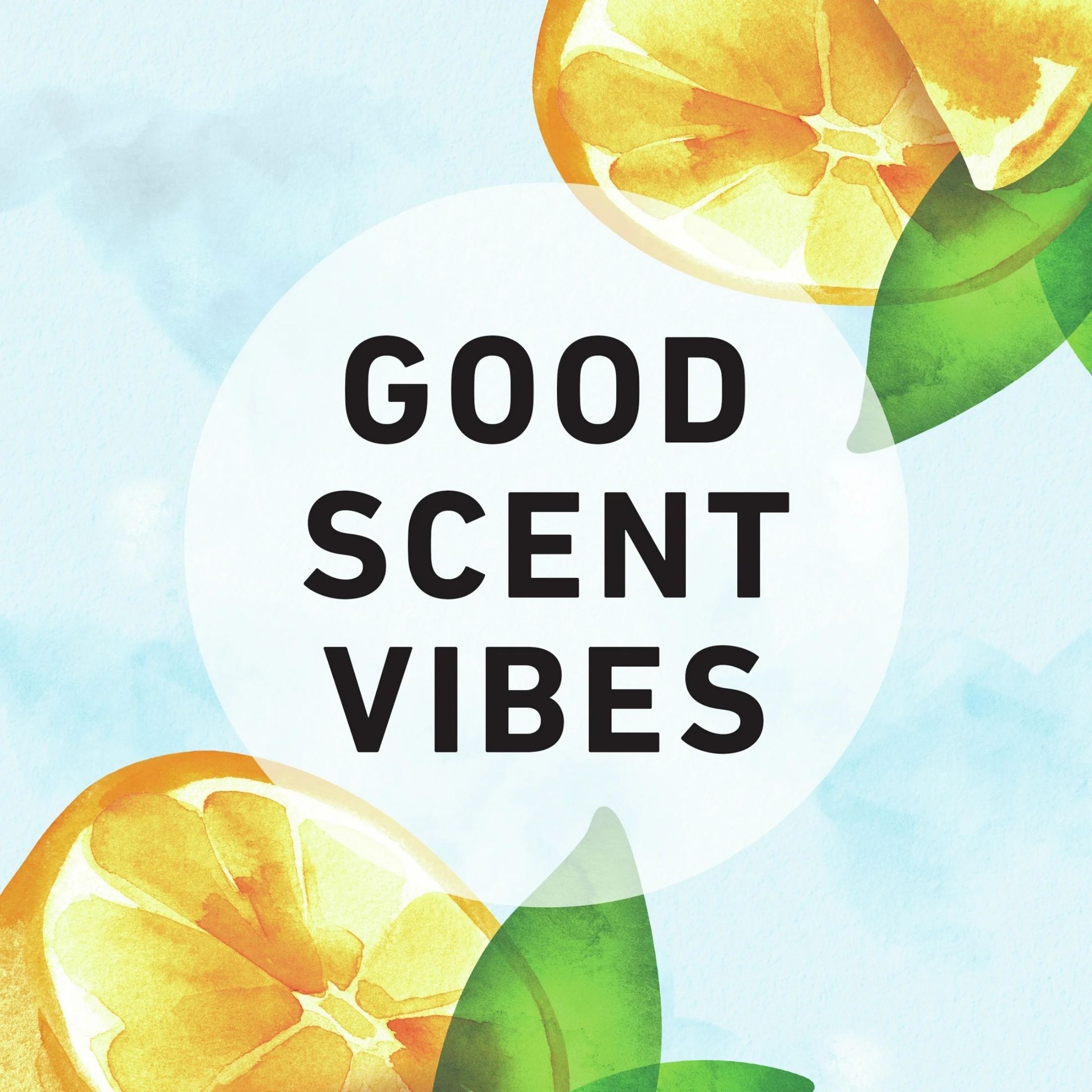 Herbal Essences Body Envy Conditioner 11.7 Fl Oz