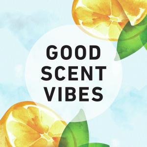 Herbal Essences Body Envy Conditioner 11.7 Fl Oz