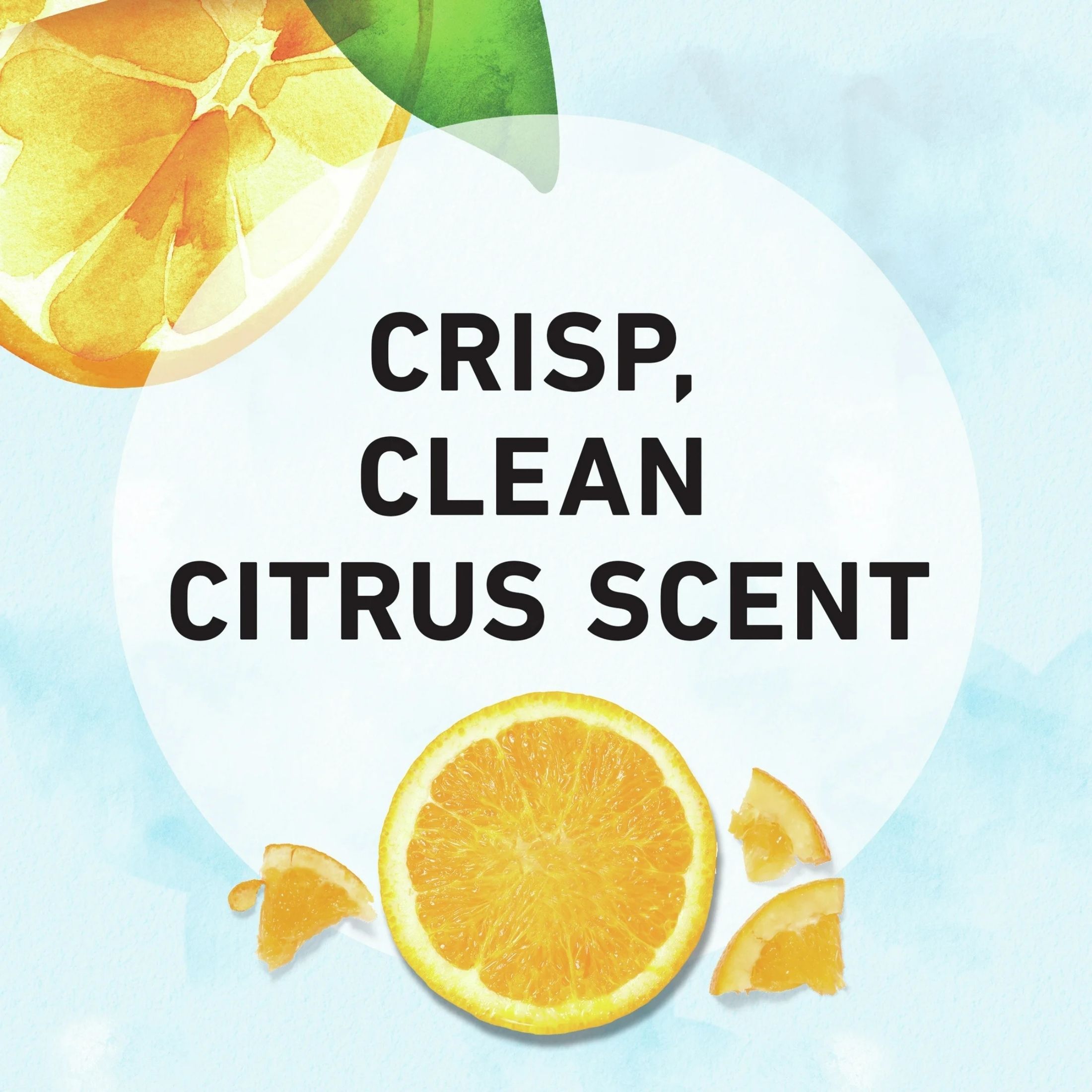 Herbal Essences Body Envy Conditioner 11.7 Fl Oz