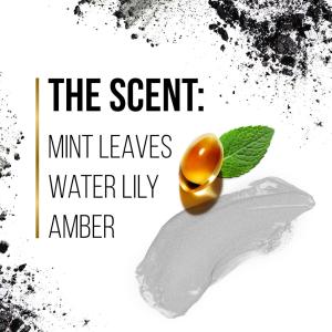 Pantene Pro-V Blends Shampoo, Charcoal