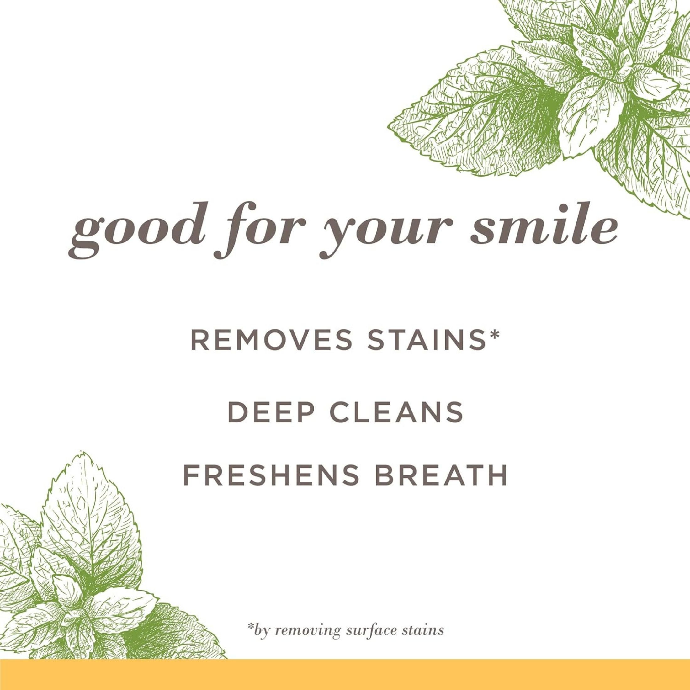 Burt's Bees Toothpaste, Fluoride Free, Zen Peppermint
