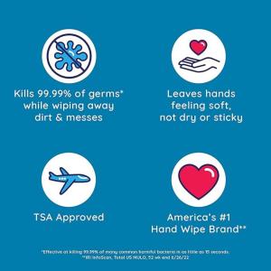 Wet Ones Antibacterial Hand Wipes Travel Pack - Tropical Splash - 20ct