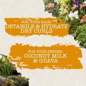 Maui Moisture Nourish & + Coconut Milk Conditioner For Dry Hair - 13 Fl Oz