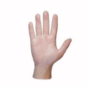 Shamrock Vinyl Clear Powder Free Examination Gloves, 20000 Series