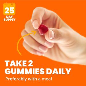 Sundown Naturals Multivitamin Gummies, Cherry/Orange/Grape