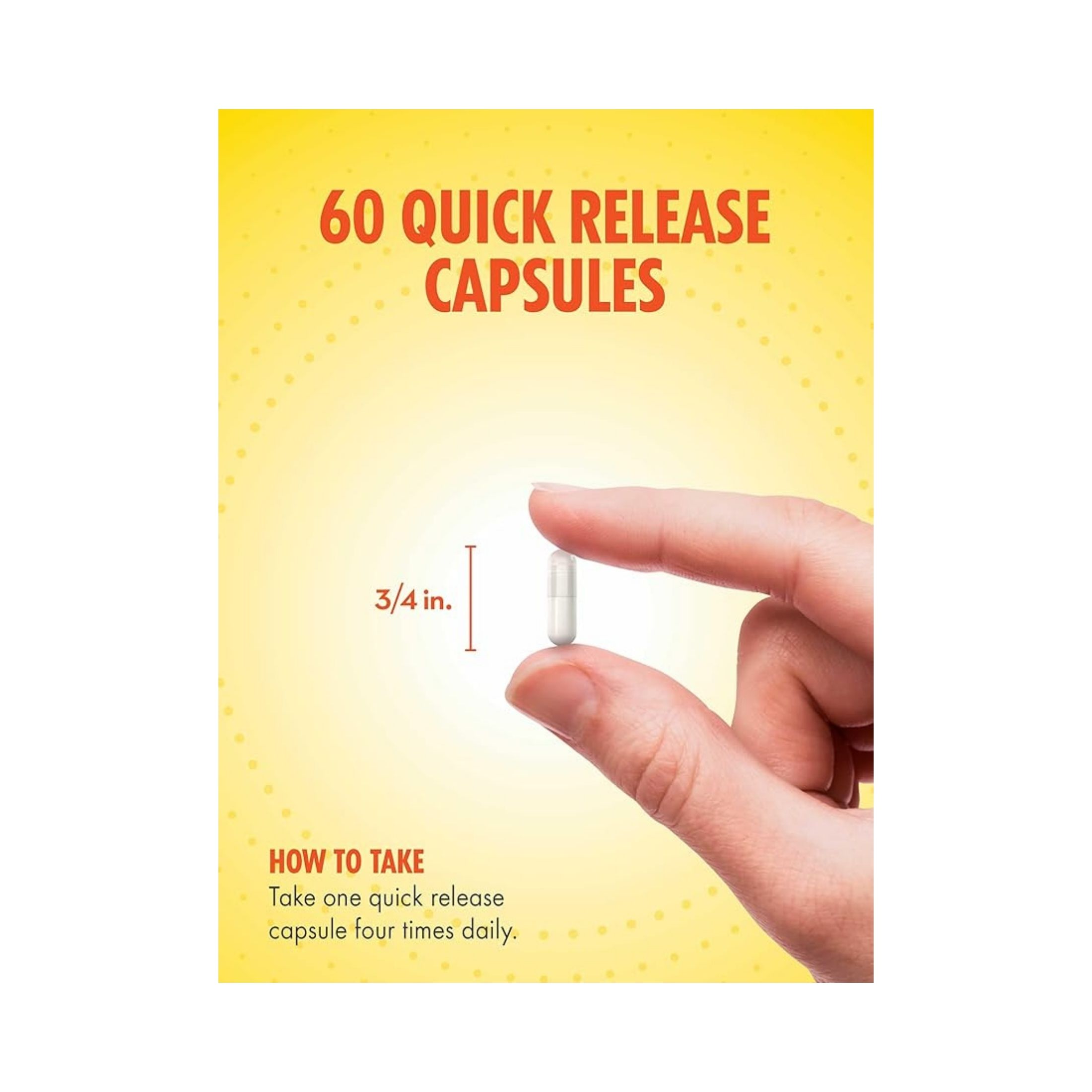 Sundance L-Carnitine 500 Mg - 60 Quick Release Capsules