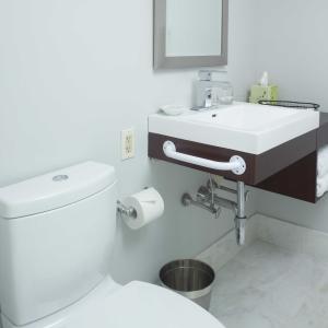 Drive Medical Powder Coated Grab Bar, White