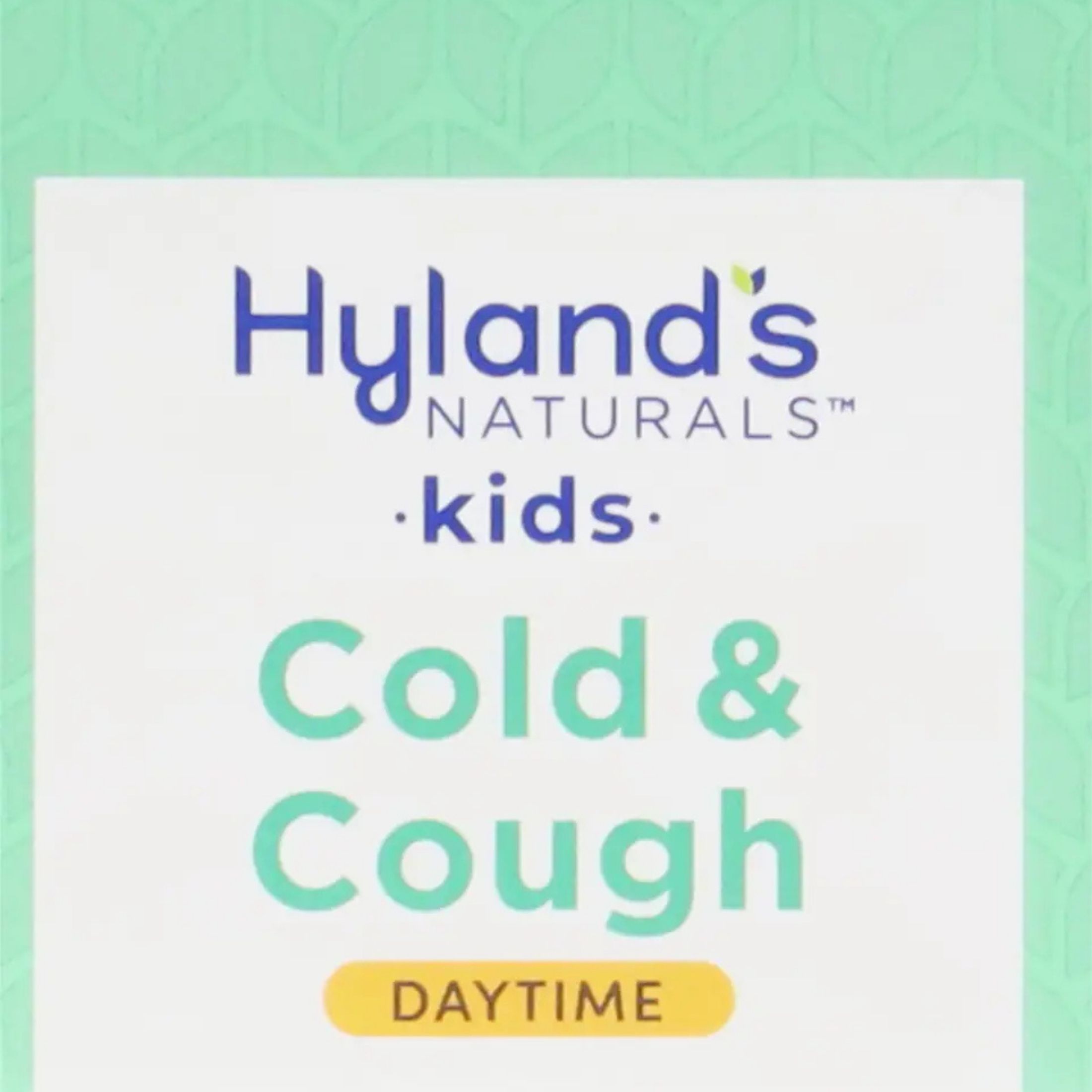 Hyland's Naturals 4 Kids Homeopathic Cold 'n Cough Nighttime Relief Syrup