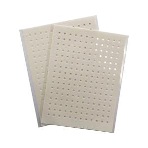 Coralite Capsaicin Heat Patch 2pk-whole