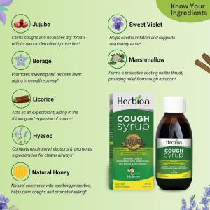 Herbion Naturals Throat Syrup - All Natural - 5 Oz