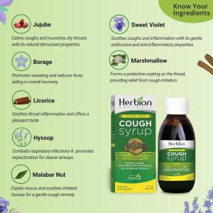 Herbion Naturals Throat Syrup - All Natural - Sugar Free - 5 Oz