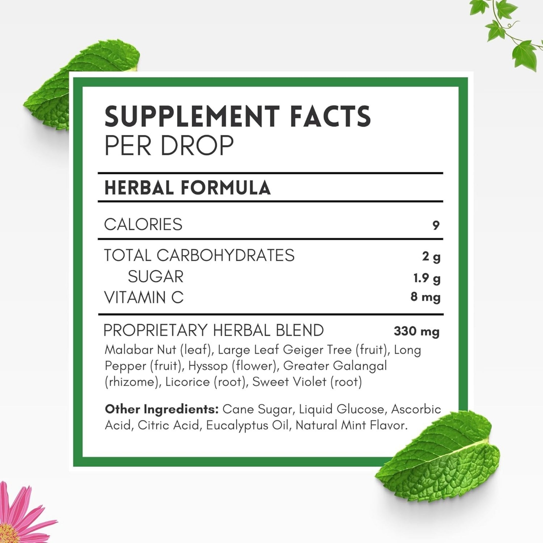 Herbion Naturals Cough Drops All Natural Mint, 1 Each