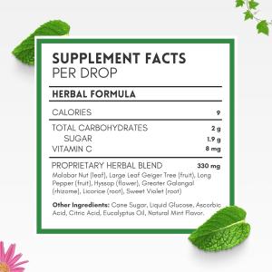 Herbion Naturals Cough Drops All Natural Mint, 1 Each