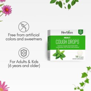 Herbion Naturals Cough Drops All Natural Mint, 1 Each