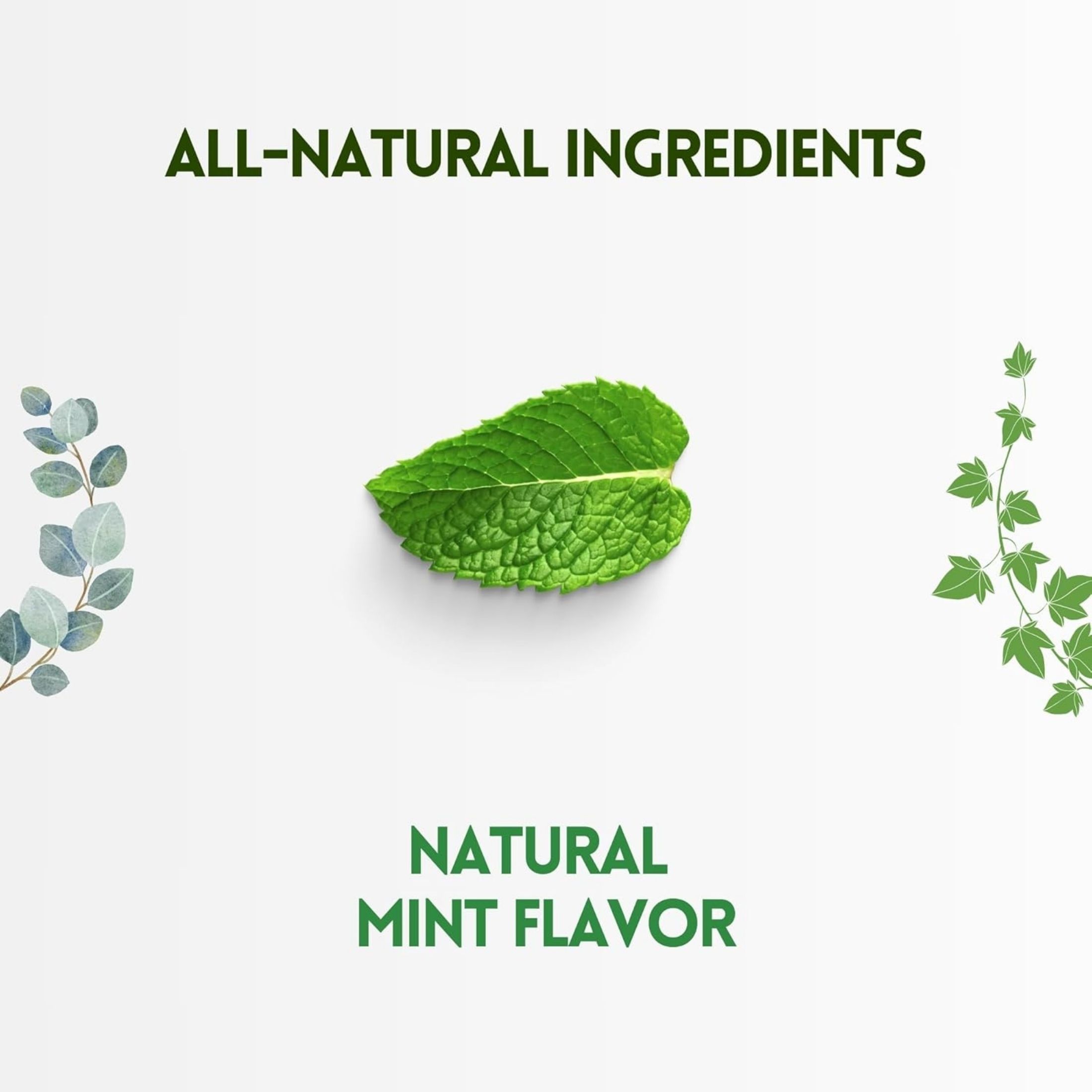 Herbion Naturals Cough Drops All Natural Mint, 1 Each