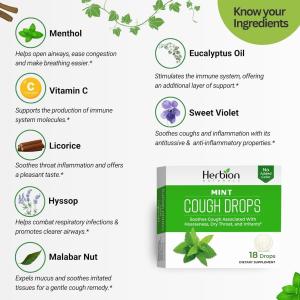 Herbion Naturals Cough Drops All Natural Mint, 1 Each