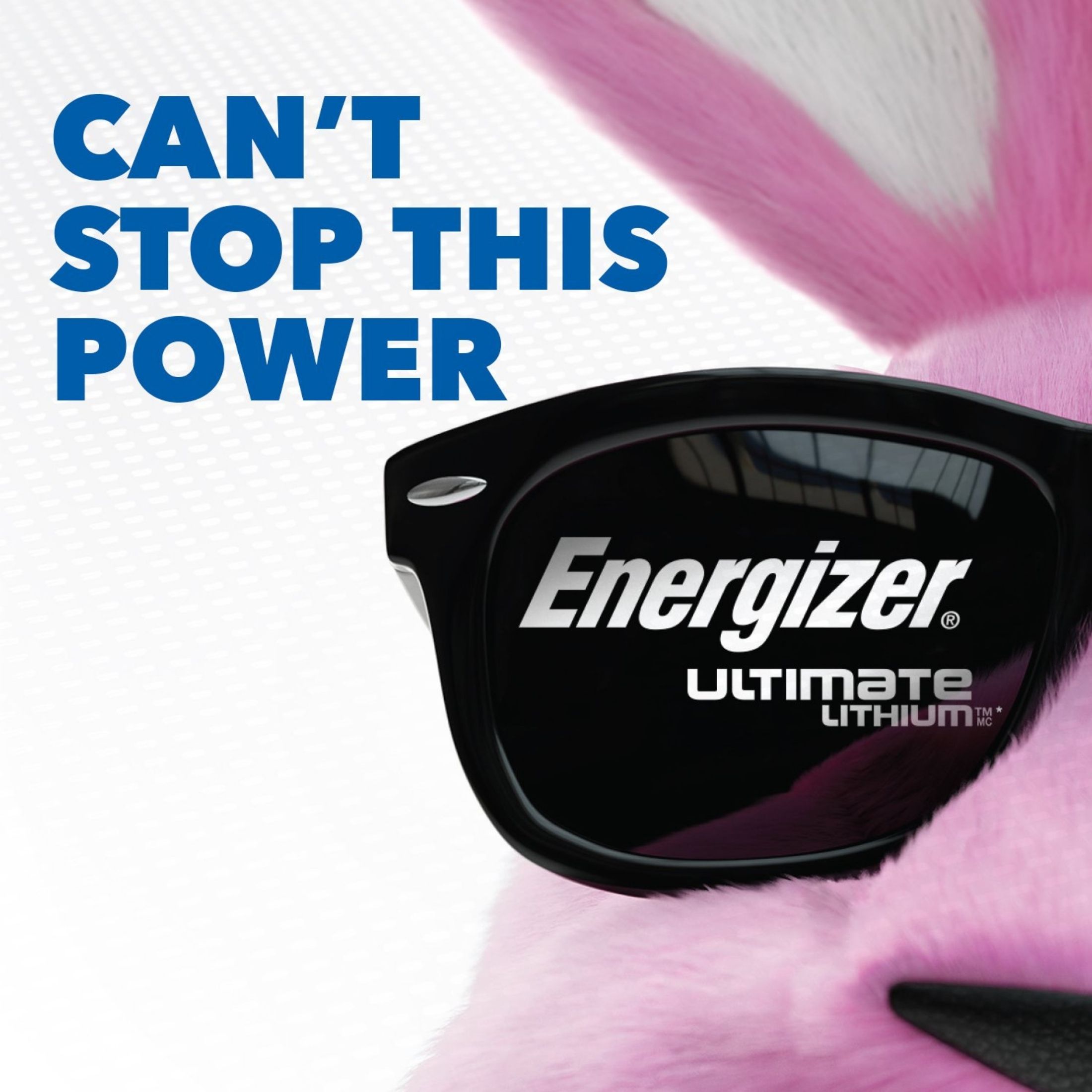 Energizer AA Batteries, Ultimate Lithium Double A Battery