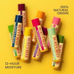 Burt's Bees Vanilla Bean Lip Balm Blister Box - 0.15oz