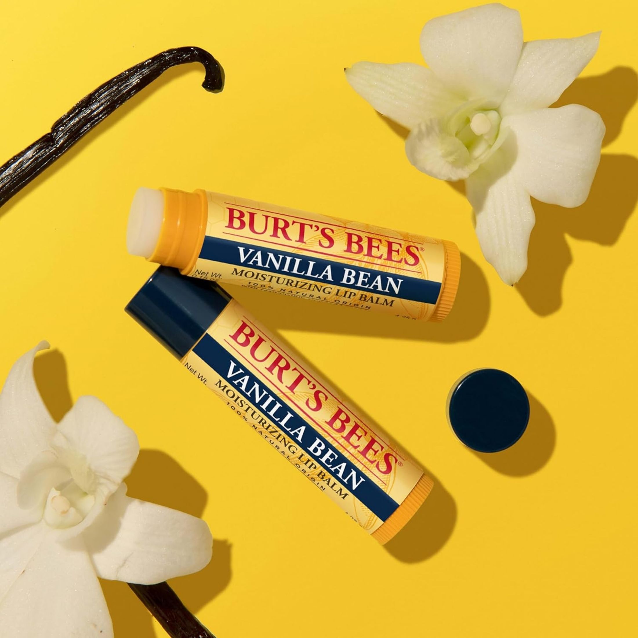 Burt's Bees Vanilla Bean Lip Balm Blister Box - 0.15oz