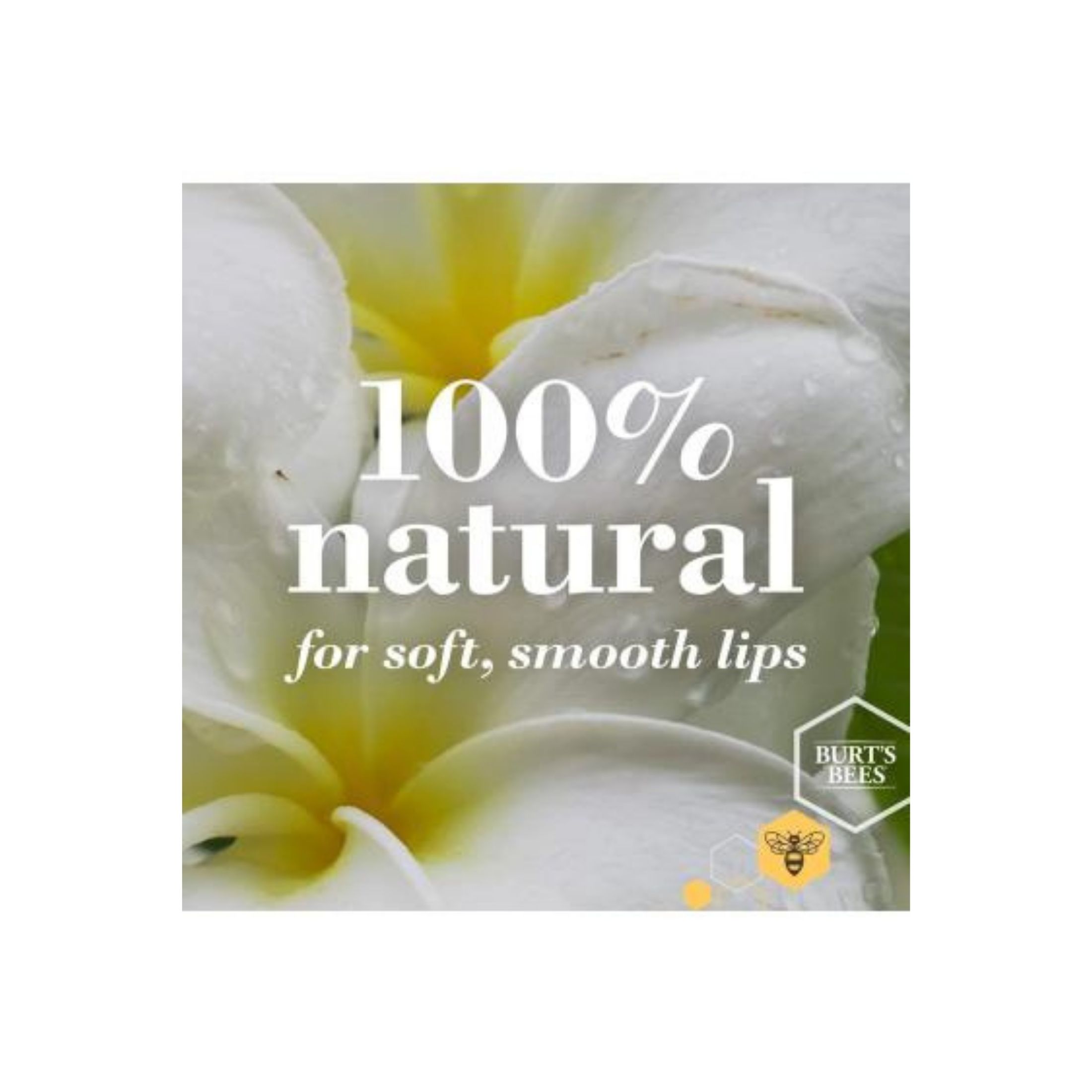 Burt's Bees Ultra Conditioning Kokum Butter Blister 0.15oz Lip Balm