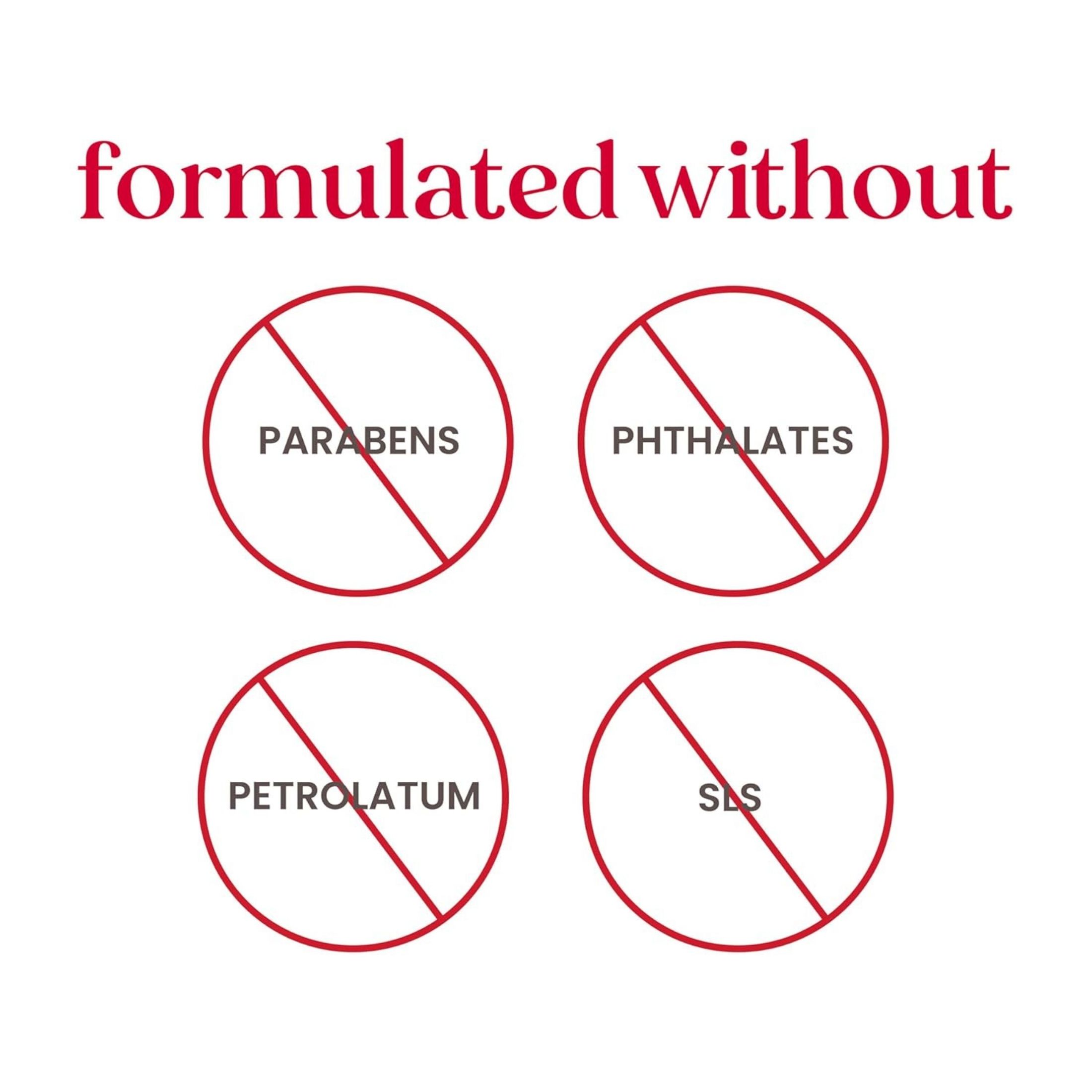 Burt's Bees Coconut And Pear Lip Balm Blister Box - 0.15oz