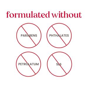 Burt's Bees Coconut And Pear Lip Balm Blister Box - 0.15oz