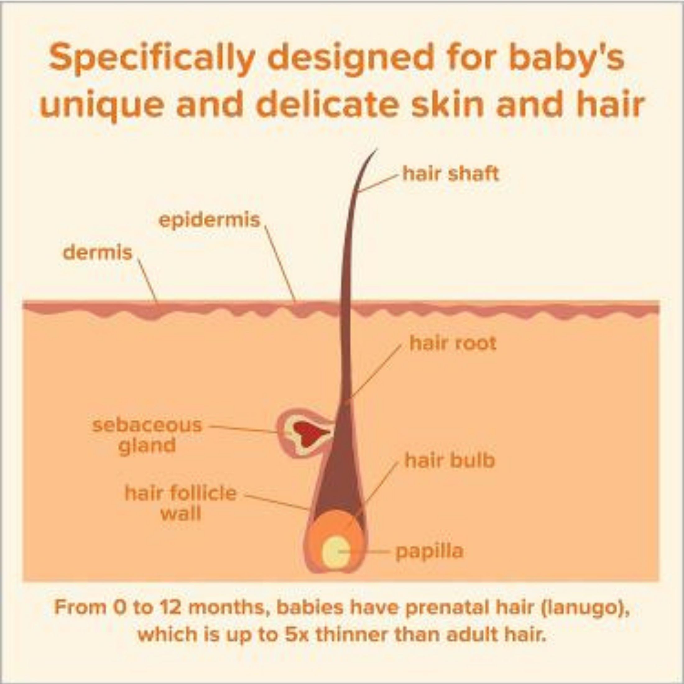 Johnson's Baby Tear Free Shampoo, 13.6 Fl Oz