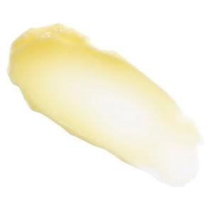 The Naked Bee Orange Blossom Honey Restoration Foot Balm 2 Oz