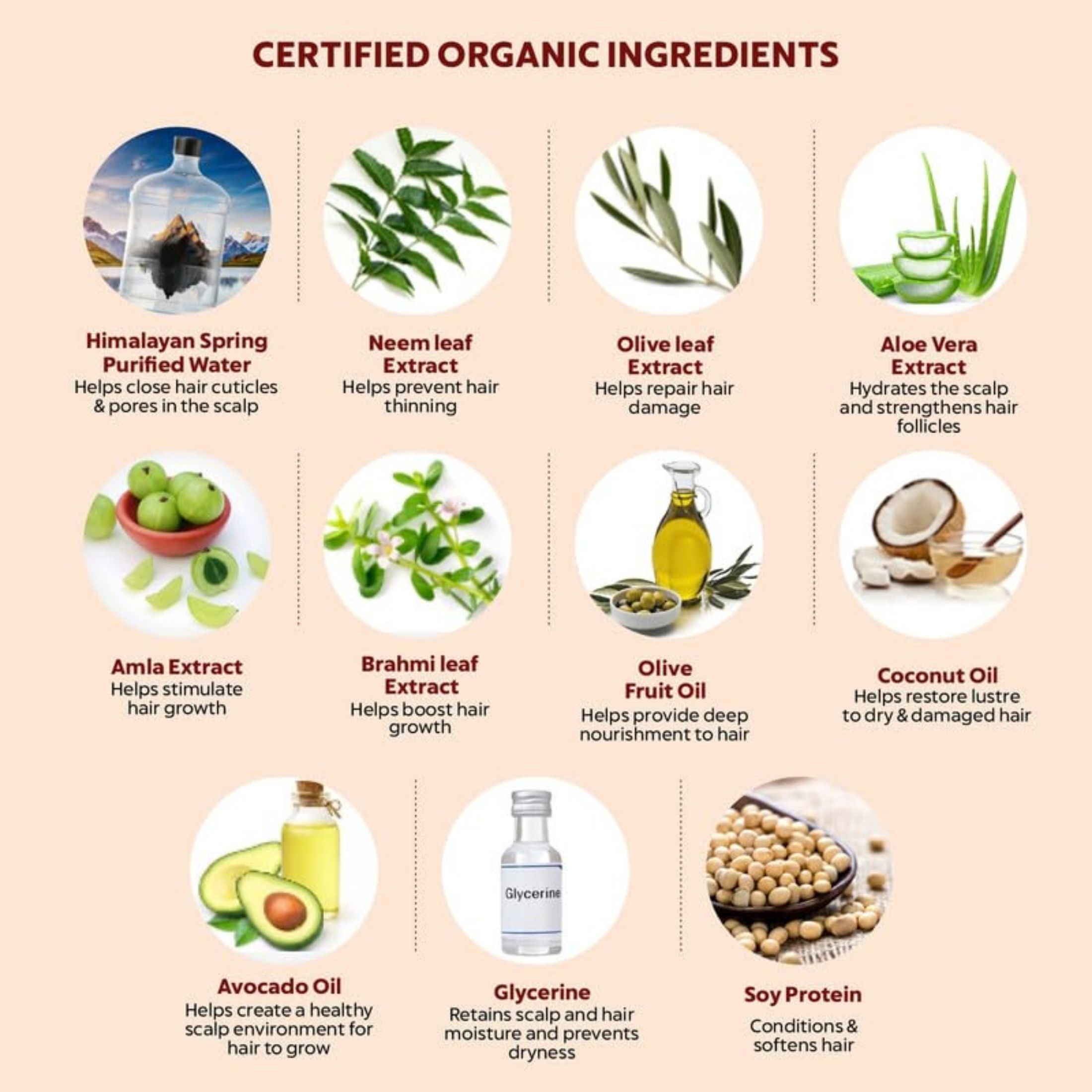 Gentle Shampoo & Conditioner