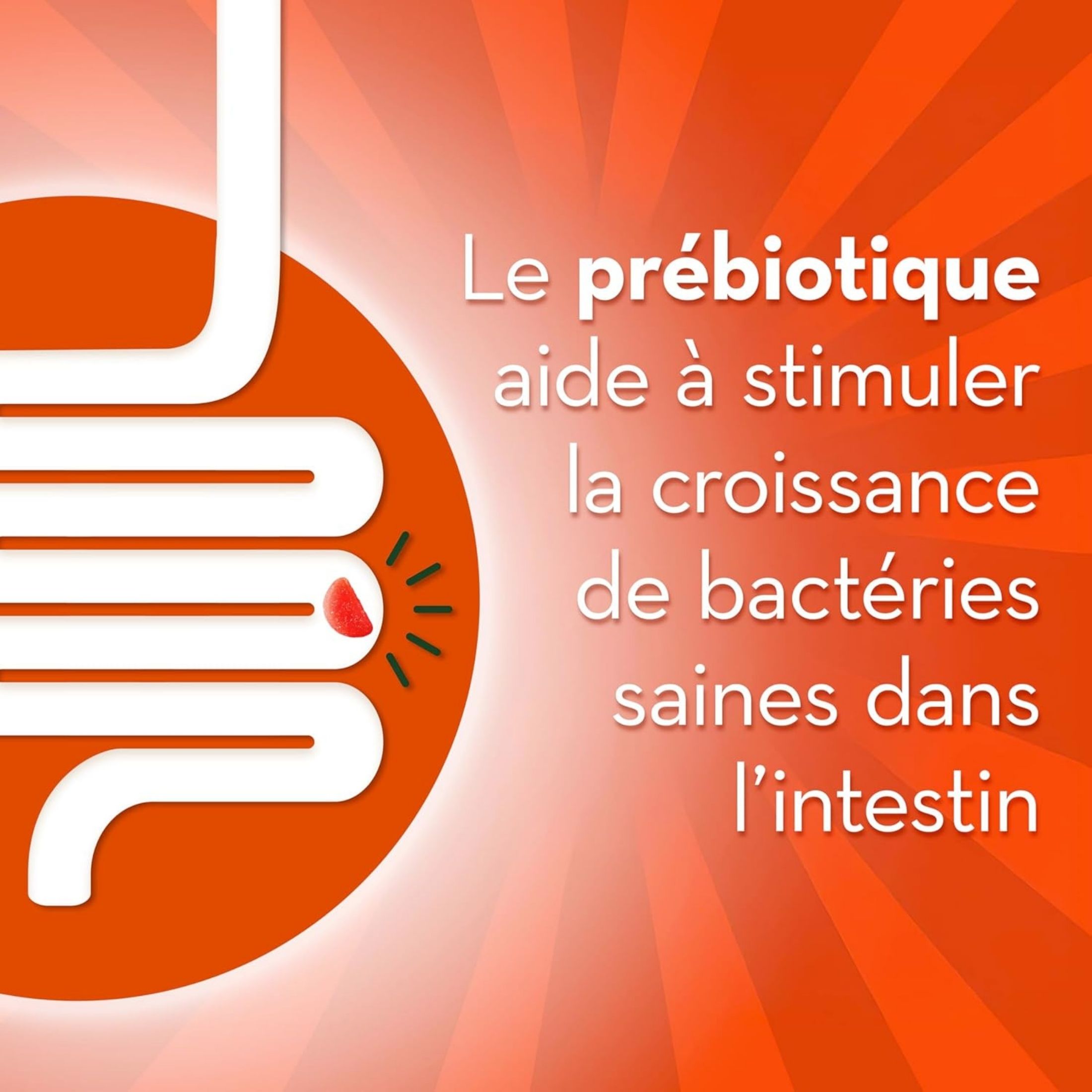 Align Gut Health And Immunity Support Prebiotics Probiotics Supplement Gummies, 50 Count With Vitamin C, Citrus Flavor