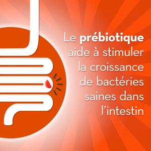 Align Gut Health And Immunity Support Prebiotics Probiotics Supplement Gummies, 50 Count With Vitamin C, Citrus Flavor