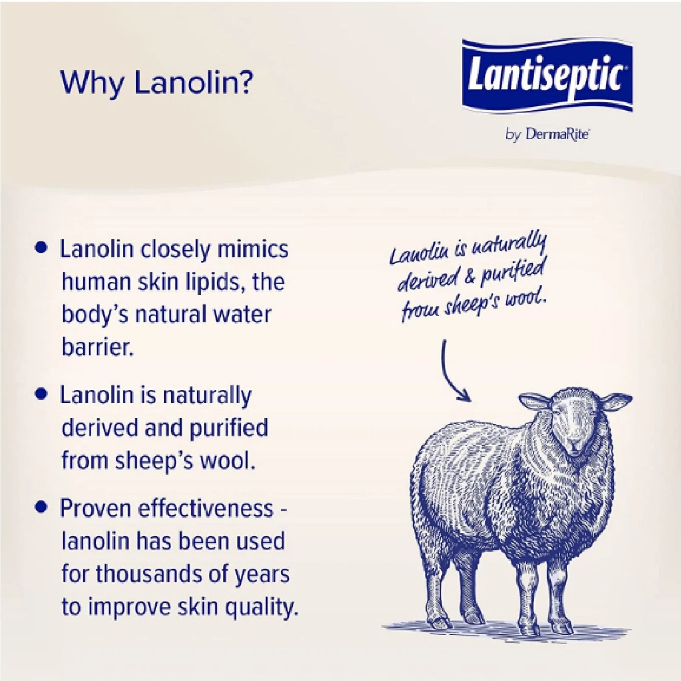 Lantiseptic Daily Care Skin Protectant - 14 Oz Jar